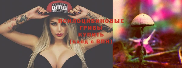 кокаин премиум Белокуриха