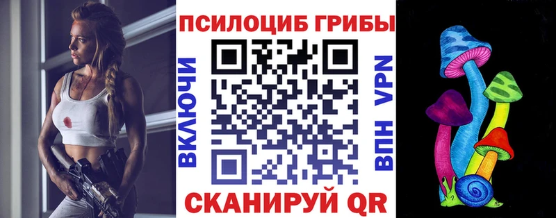 Псилоцибиновые грибы Psilocybine cubensis  Великие Луки 